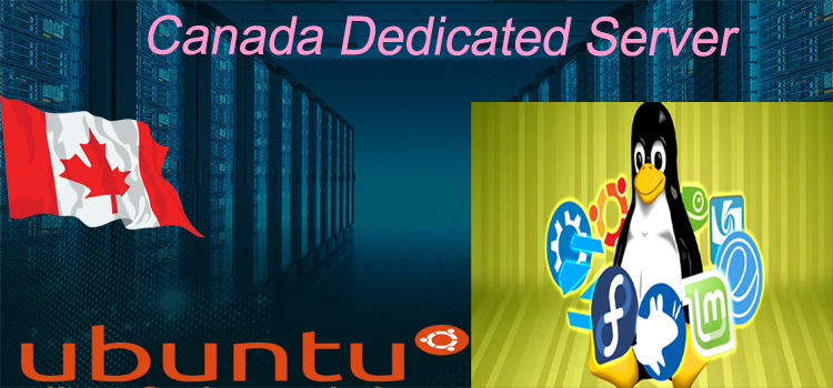 Canada Dedicated Server – Fulfill Your Hosting Needs