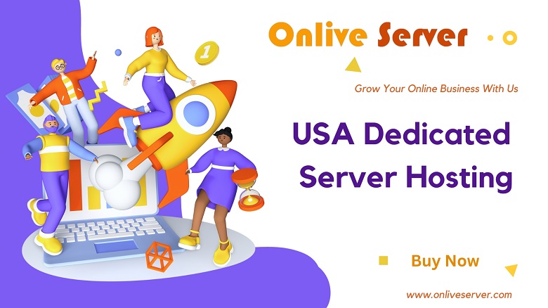 Effective USA Dedicated Server Hosting For Website Performance