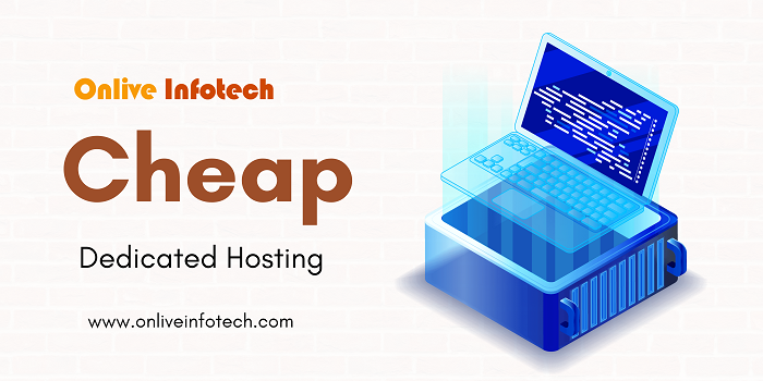 Cheap Dedicated Hosting is the Ideal Solution for High-Traffic Websites