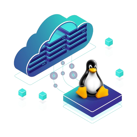 Linux VPS Hosting