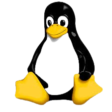 Linux Dedicated Server